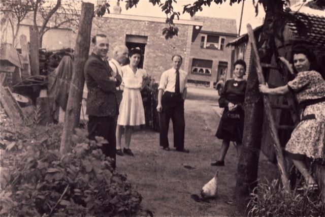 Wij hadden een boomkip, en het was durfal Monique die de eieren in de kruin ging rapen.